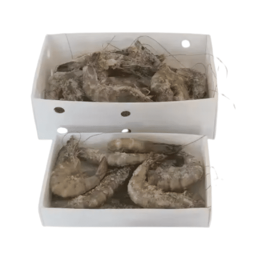 Durable & Efficient Insulated Fish Containers for Freshness