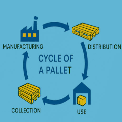 Circular Economy in Pallet Manufacturing: Closed-Loop Systems