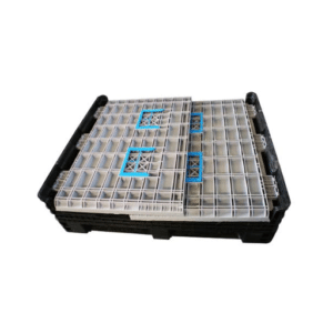 Collapsible Pallet Boxes with Lids: Types, Benefits & When to Spec One